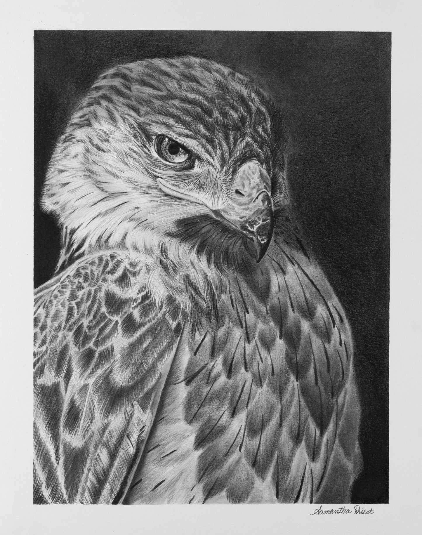 Sentinel Fine Art Print