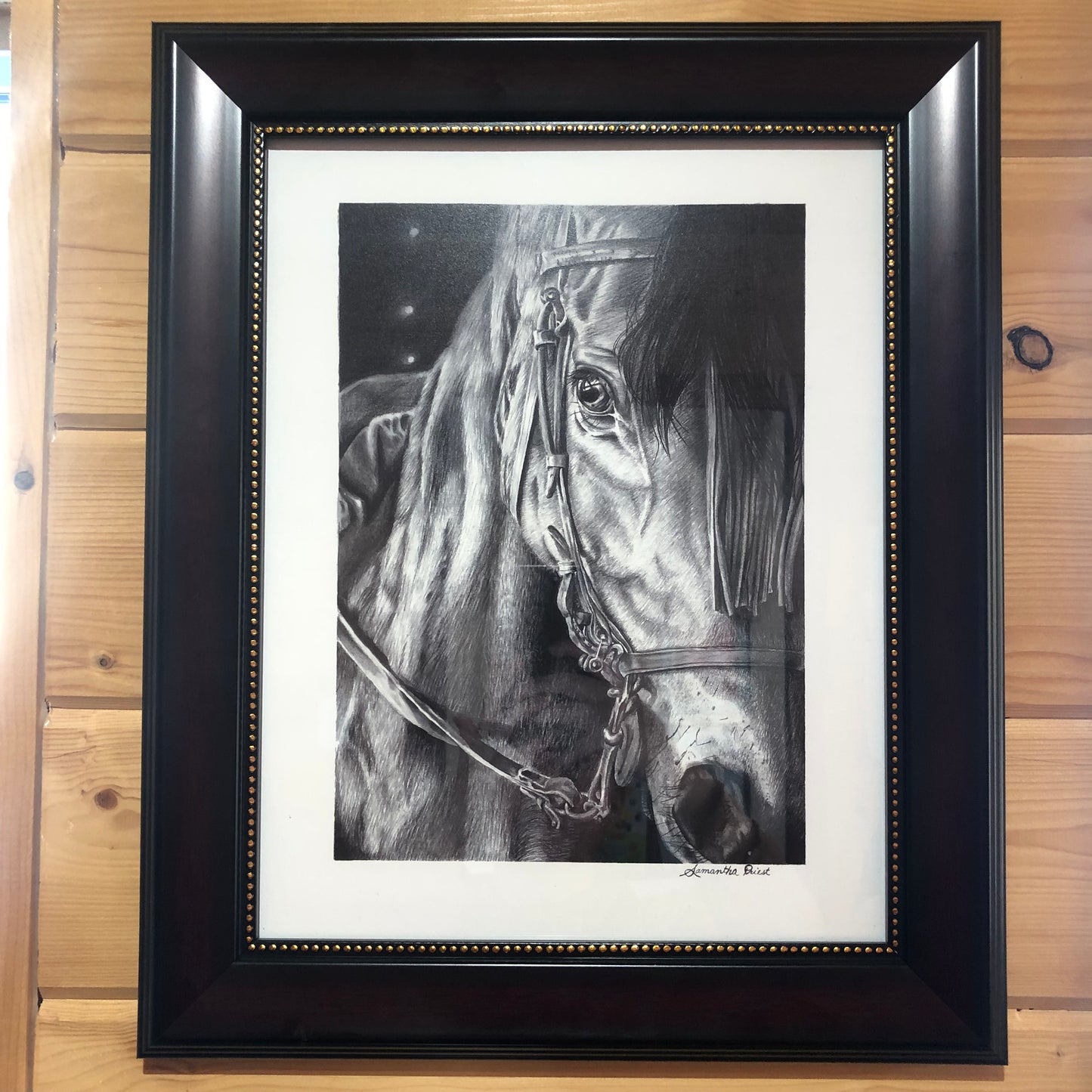 Dark Horse Print by Sam Priest 11 x 14 Limited Edition