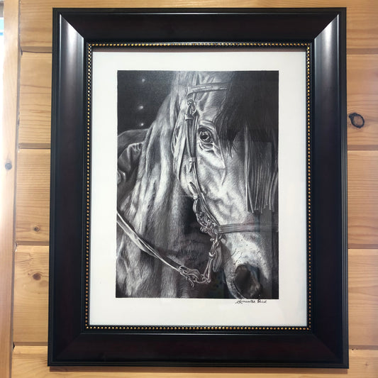 Dark Horse Print by Sam Priest 11 x 14 Limited Edition