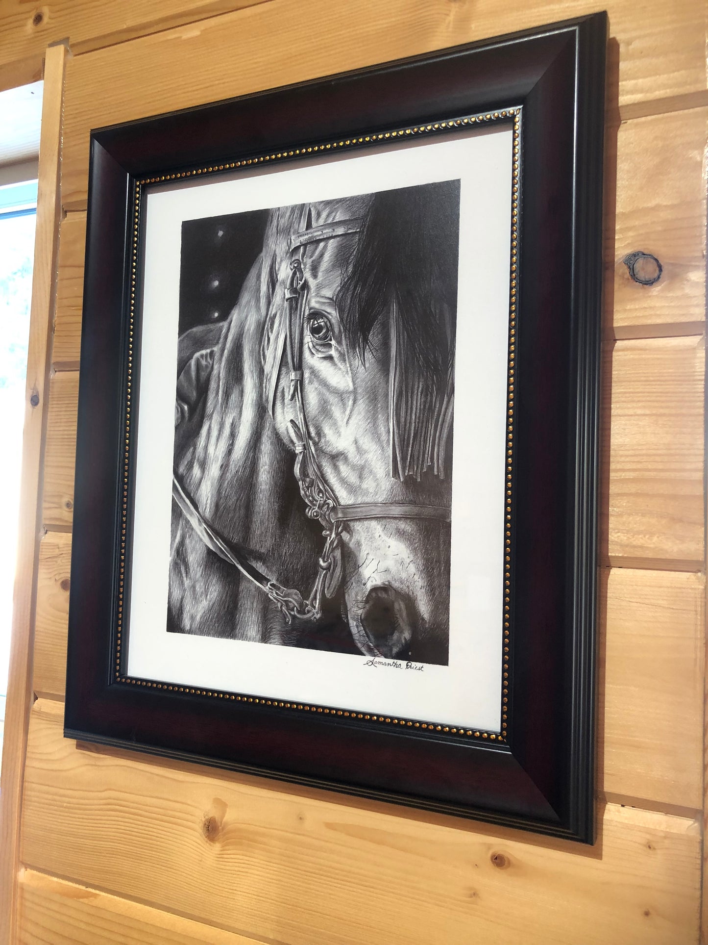 Dark Horse Print by Sam Priest 11 x 14 Limited Edition