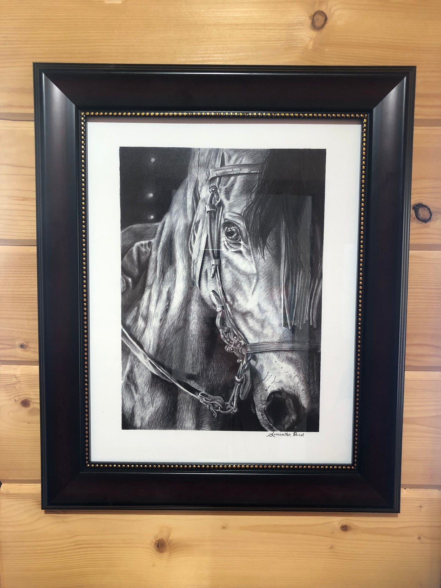 Dark Horse Print by Sam Priest 11 x 14 Limited Edition