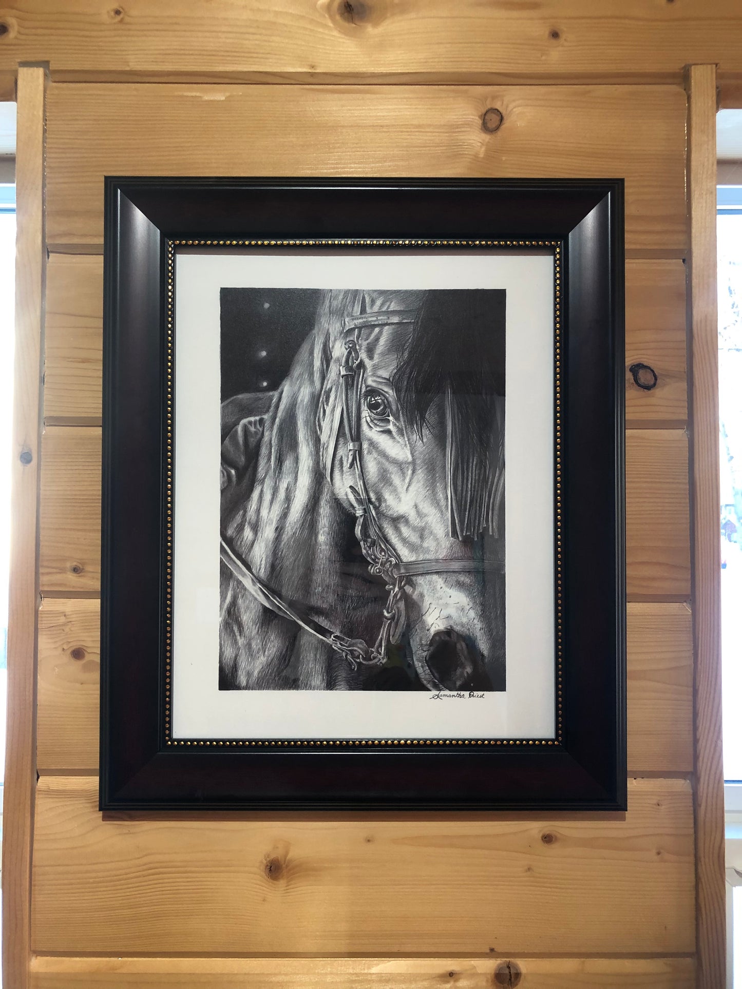 Dark Horse Print by Sam Priest 11 x 14 Limited Edition